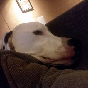 Meet your Posher, Stephen